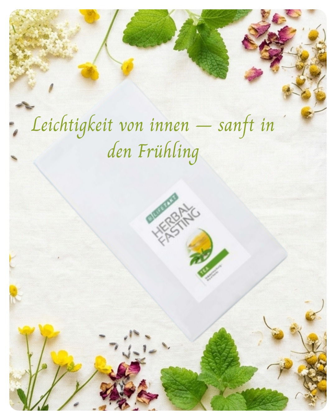 Eine Packung Herbal Fasting Tee mit Blumen und Blättern darum. Der Text lautet 'Leichtigkeit von innen - sanft in den Frühling'.