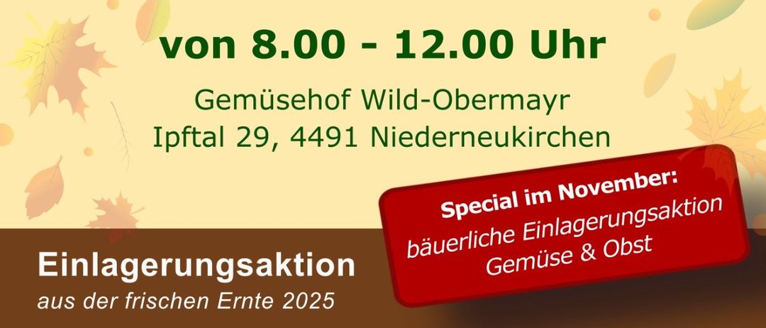 Plakat für Bauernmarkt Niederneukirchen. Geplant für Samstag, 8. Von 8:00 bis 12:00 Uhr auf Gemusehof Wild-Obermayr Ipftal 29, 4491 Niederneukirchen. Spezial im November: Einheimische Produkte & Gemüse. Verschiedenes Gemüse erhältlich. Fachkundige Tipps zur Lagerung. Website: www.bauernmarkt-nnk.at.