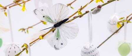 Ein weißer Schmetterling mit grünen Flügeln ist an einem Zweig mit gelben Blüten und einem eiförmigen Ornament befestigt.
