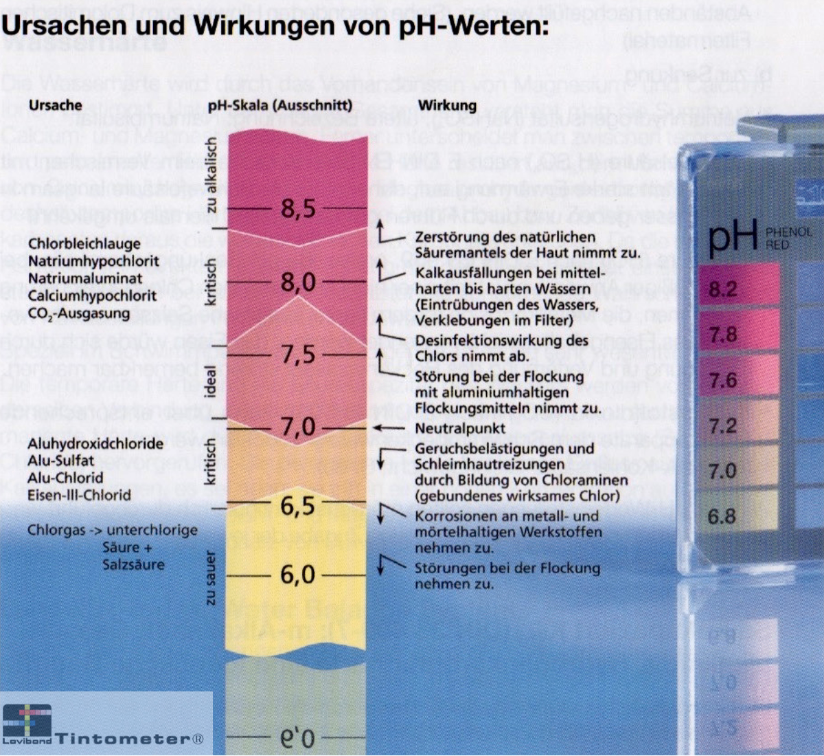 Chart, Plot, Cup, Text