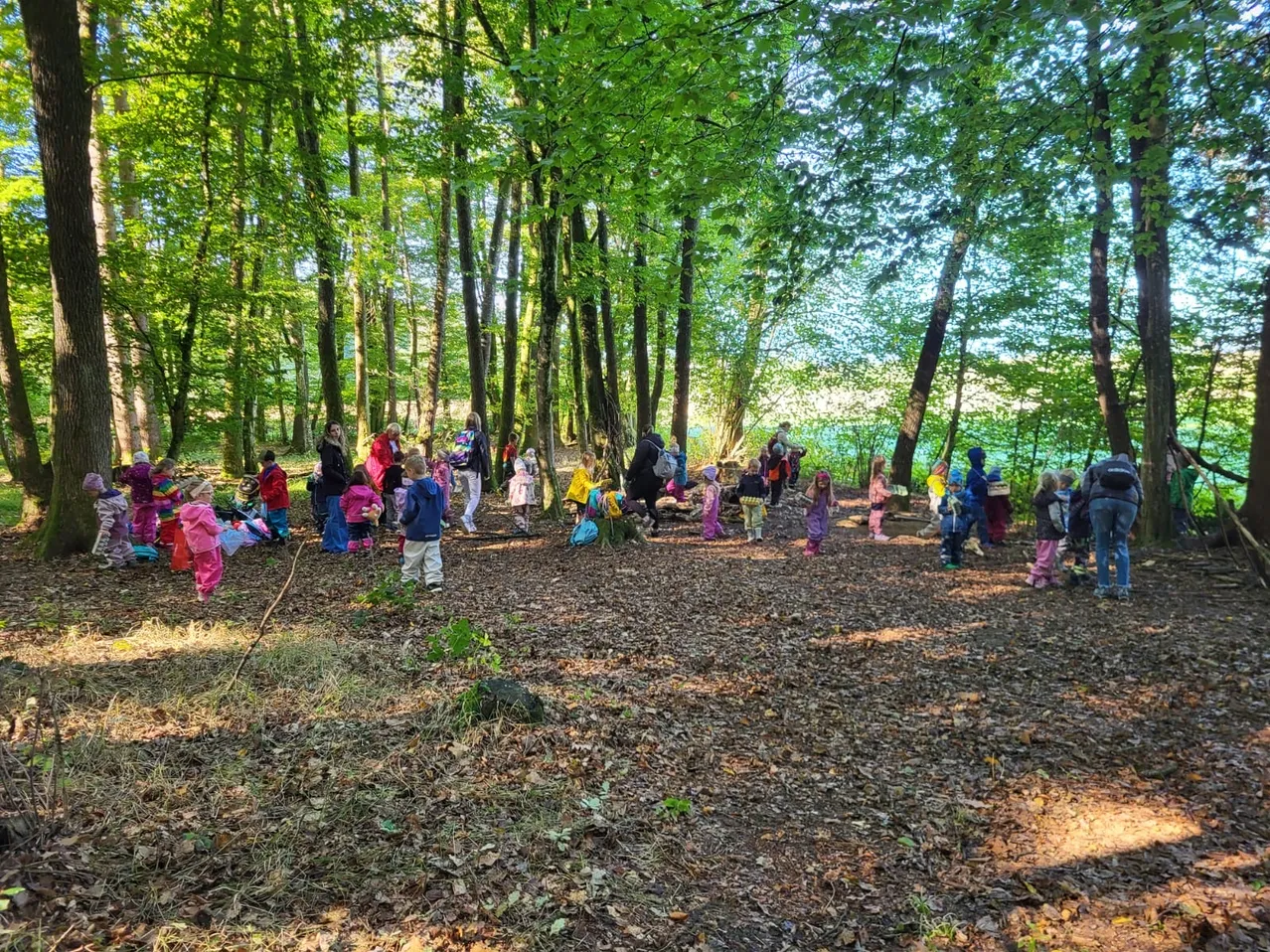 Eine Gruppe von Kindern und Erwachsenen versammelt sich in einer Waldlichtung, einige stehen, andere sitzen, mit Rucksäcken und farbenfroher Kleidung.