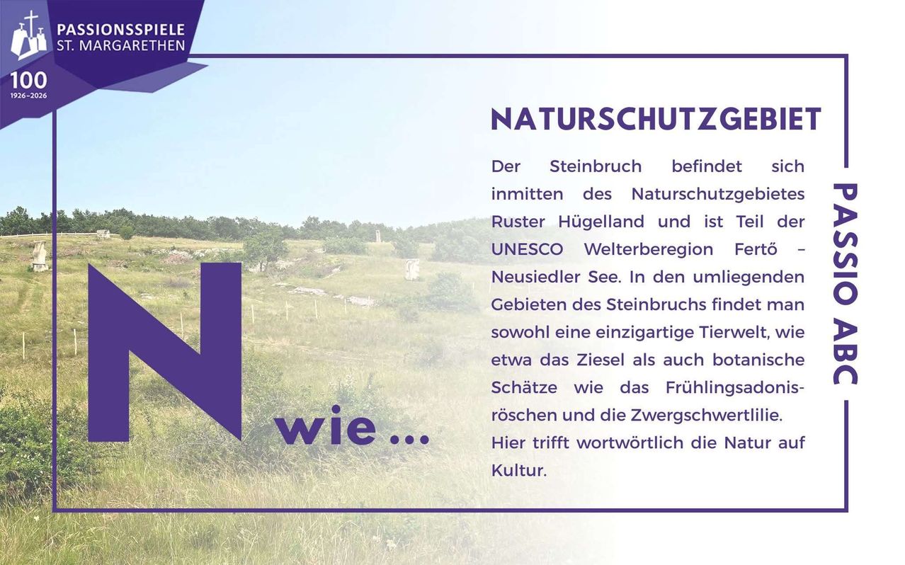 The Steinbruch is located in the heart of the Nature Conservation Ruster Hügelland and is a UNESCO World Heritage Site, Neusiedler See. Unique animals like the Ziesel and Schätze like the Fruhling roschen and Zwergschwe meet here.