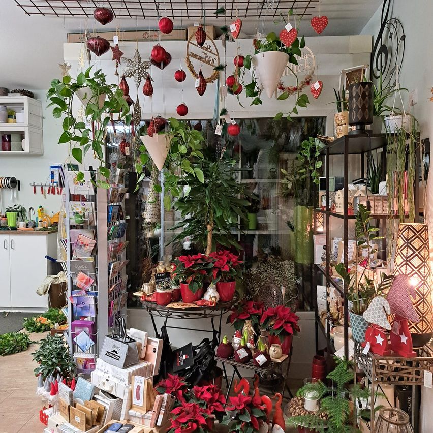 Ein Raum voller Pflanzen und Dekorationen. Es gibt einen Tisch mit einigen roten Blumen, einem Topfpflanzen und einer Lampe. Andere Pflanzen hängen von der Decke. Es gibt einen Schrank auf der linken Seite mit einigen Gegenständen darauf.