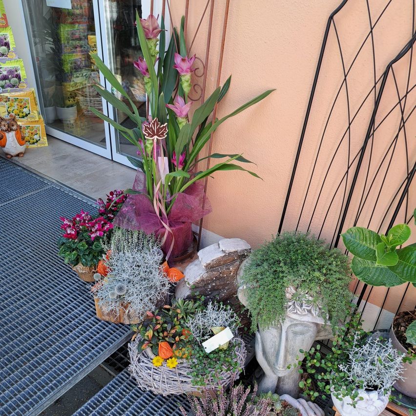 A variety of potted plants and flowers are arranged outside a shop, with a large pink flower centerpiece and a decorative head statue.