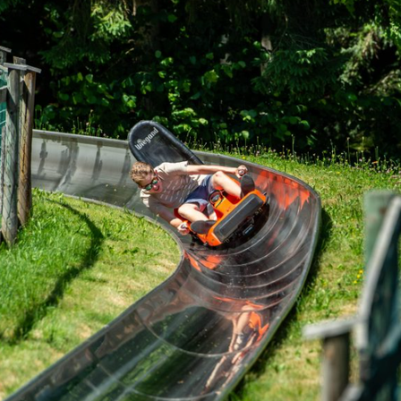 Bild enthält, Grass, Plant, Person, Adult, Male, Man, Sliding, Outdoors