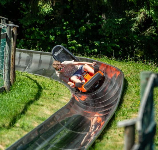 Bild enthält, Grass, Plant, Person, Adult, Male, Man, Sliding, Outdoors