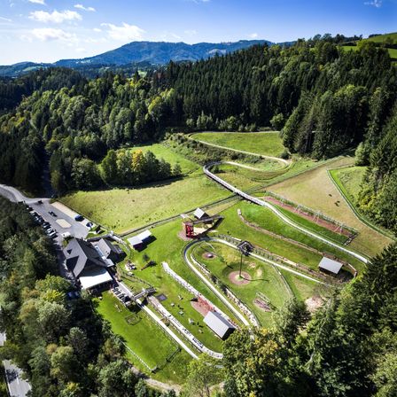 Bild enthält, Tree, Outdoors, Land, Nature, Vegetation, Woodland, Fir, Road, Aerial View, Building
