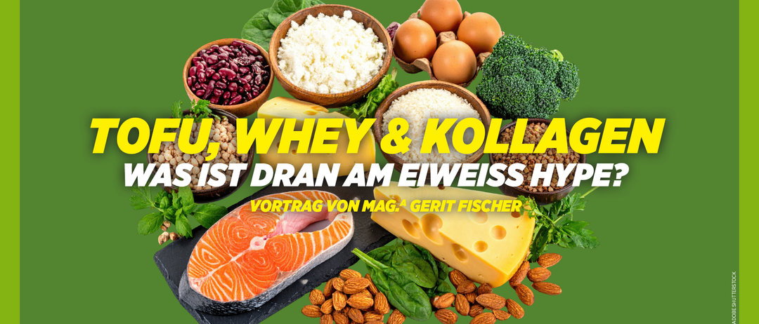 Ein Bild, das verschiedene Lebensmittel zeigt, darunter Bohnen, Eier, Brokkoli, Käse, Lachs und Nüsse. Der Text lautet 'Protein, Whey & Collagen ist auf Eiweiß spitze'. Ein Vortrag von Mag. Gerit Fischer.