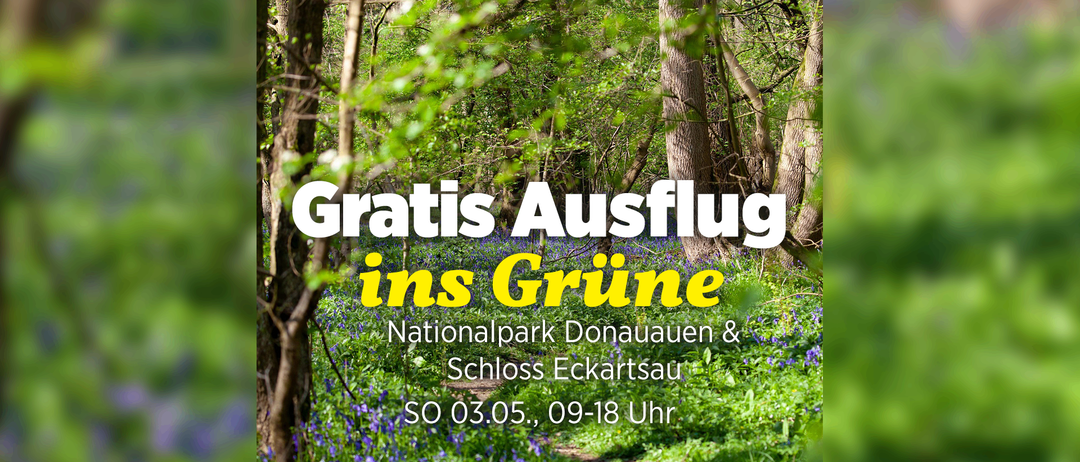 Ein Plakat, das einen kostenlosen Ausflug in grüne Räume ankündigt. Das Plakat zeigt einen Pfad, der von üppigem Grün und blauen Blumen umgeben ist. Es enthält Details über einen Besuch im Nationalpark Donauauen und Schloss Eckartsau. Die Veranstaltung ist für den 3. Mai von 9 bis 18 Uhr geplant.