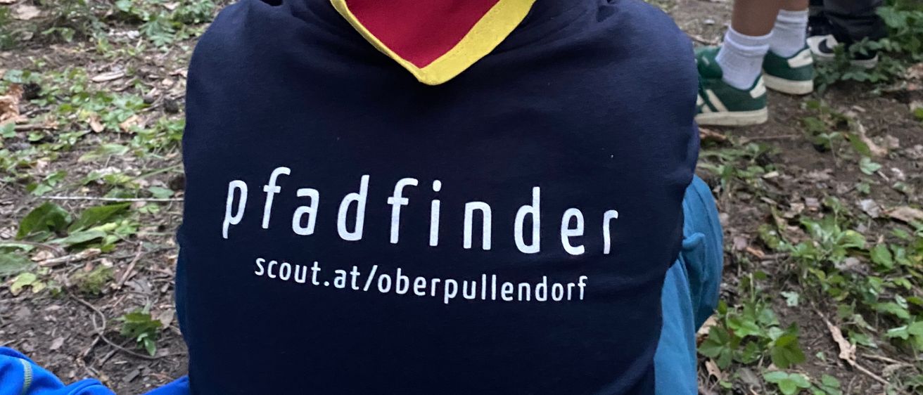 Ein junger Junge sitzt mit dem Rücken zur Kamera in einem Wald und trägt ein blaues T-Shirt mit 'pfadfinder' und 'scout.at/oberpullendorf' darauf.