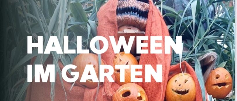 Ein Halloween-Event im Garten. Freitag, 31. Oktober 2025 ab 16 Uhr. Erlebe ein gruseliges Abenteuer für Groß und Klein. Angebote: Rundgang durch den Gruselgarten, Halloween-Stationen für Kinder.