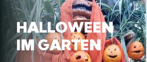 Ein Halloween-Event im Garten. Freitag, 31. Oktober 2025 ab 16 Uhr. Erlebe ein gruseliges Abenteuer für Groß und Klein. Angebote: Rundgang durch den Gruselgarten, Halloween-Stationen für Kinder.