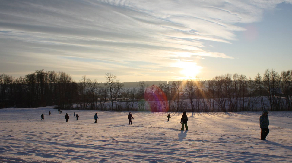 v1_migrated_image_93335995