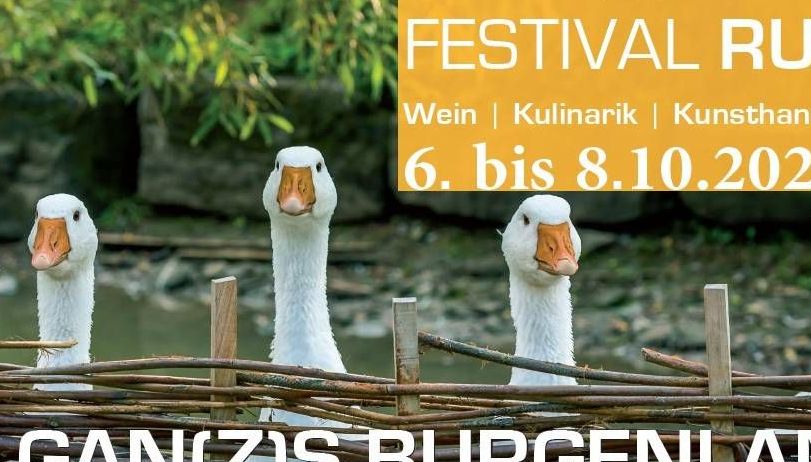 v1_migrated_image_34941574