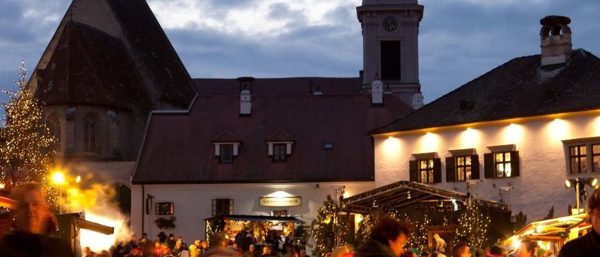 v1_migrated_image_14302222