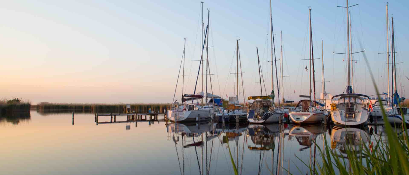 v1_migrated_image_79671088