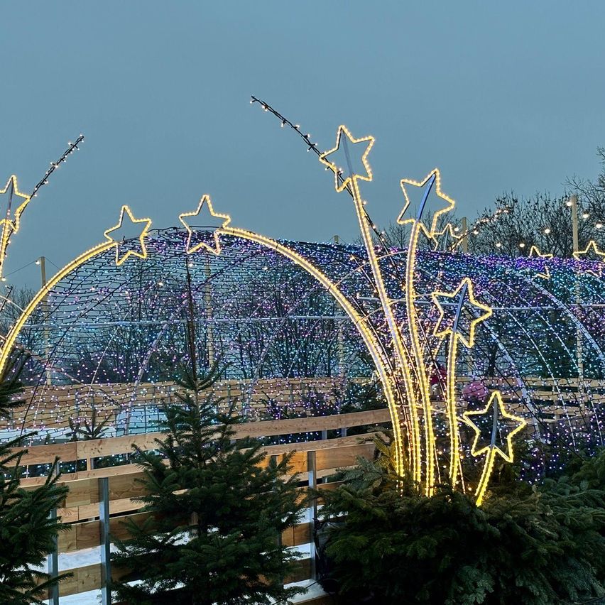 Beleuchtete sternförmige Dekorationen schmücken einen festlichen Weihnachtsmarkt, umgeben von Tannenbäumen und einer bogenförmigen Struktur mit bunten Lichtern.