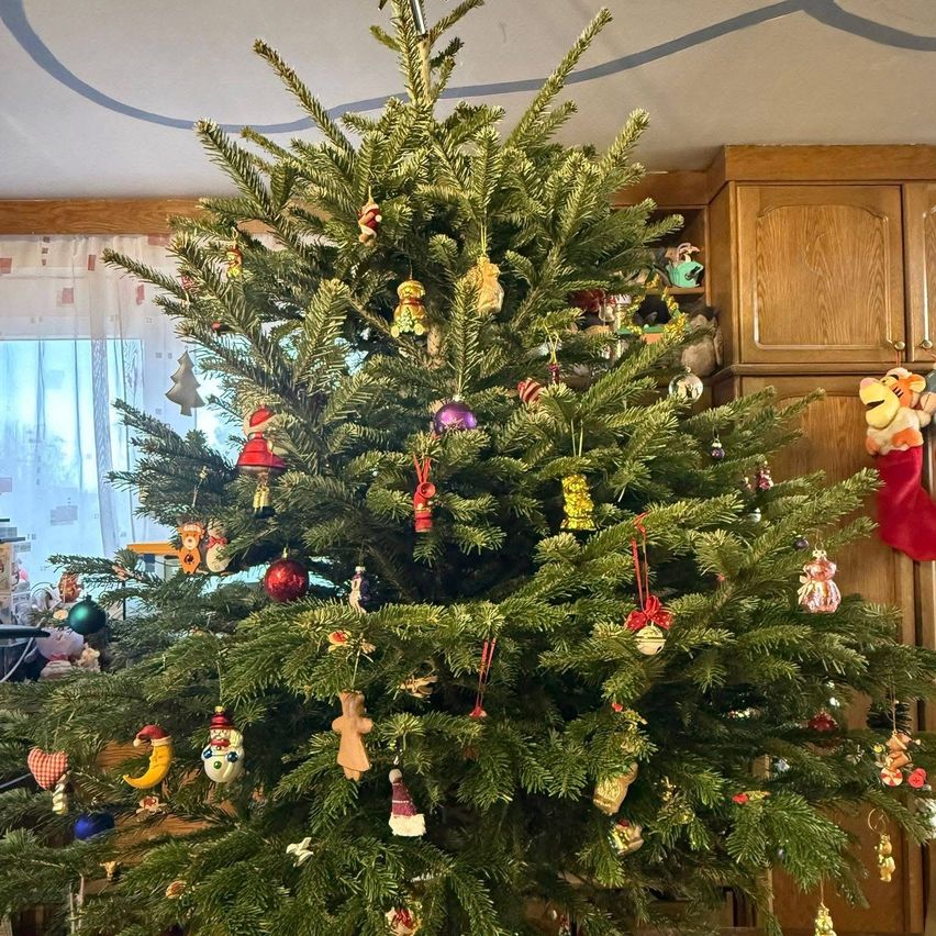 Ein mit Ornamenten geschmückter Weihnachtsbaum, darunter der Weihnachtsmann, ein Schneemann und ein Mond, steht in einem Raum mit einem Fenster und Holzschränken.