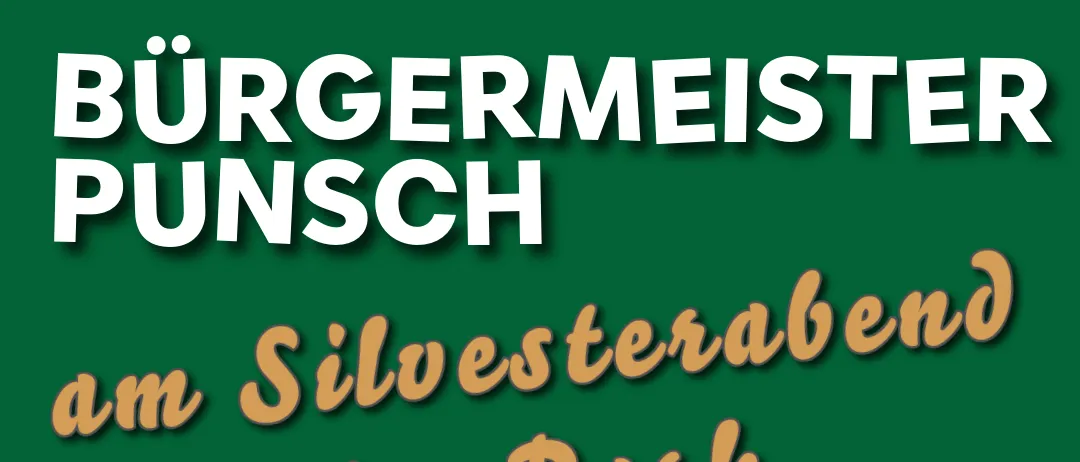 Grünes Plakat für Silvesterabend im Park. Zeigt Feuerwerk und Sterne vor grünem Hintergrund.