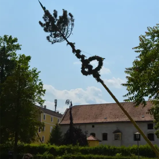 Ein hoher Baum mit einem Seil, das an ihn befestigt ist und sich über ein Haus mit einem braunen Dach und einem Turm im Hintergrund neigt.