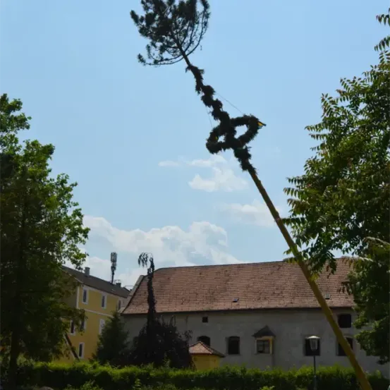 Ein Baum wurde dekoriert und aufrecht aufgestellt, gestützt von Seilen, vor einem Gebäude mit einem Ziegeldach und gelben Wänden.