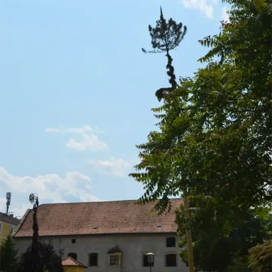Ein großes Gebäude mit einem braunen Dach und mehreren Fenstern steht unter einem teilweise bewölkten Himmel, umgeben von Bäumen und Büschen.