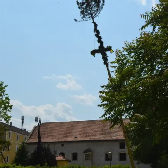 Eine Außenszene zeigt ein großes Gebäude mit einem Ziegeldach, umgeben von Bäumen und Grün. Ein hoher Baum mit einem Kreuz darauf steht im Vordergrund.