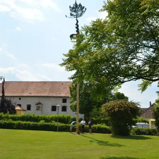 Drei Menschen stehen in einem Park. Einer beugt sich nach unten. Es gibt einen hohen Baum mit einem Haus im Hintergrund.