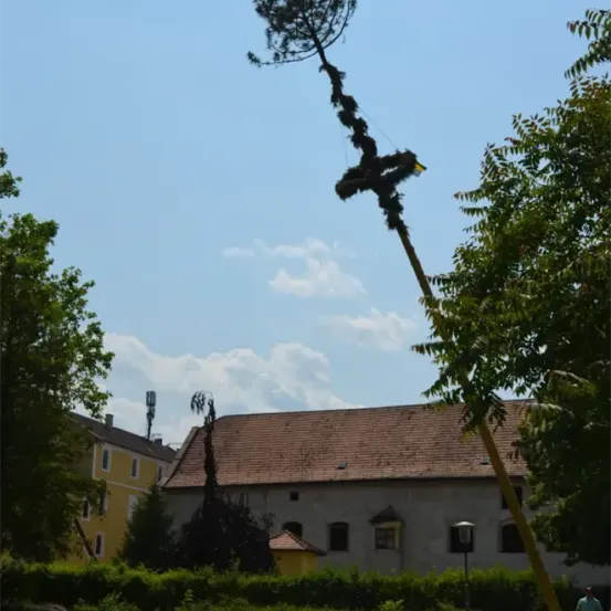 Ein großer Baum mit einer Flagge wird in der Nähe eines Gebäudes mit einem braunen Dach und gelben Wänden entfernt. Vor dem Gebäude befinden sich Büsche und eine Straßenlampe.