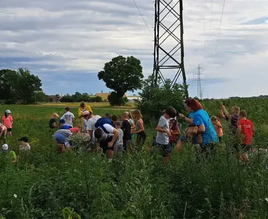 Eine Gruppe von Menschen erkundet ein Feld mit hohem Gras. Einige sammeln Pflanzen. Bäume und ein Turm sind im Hintergrund.