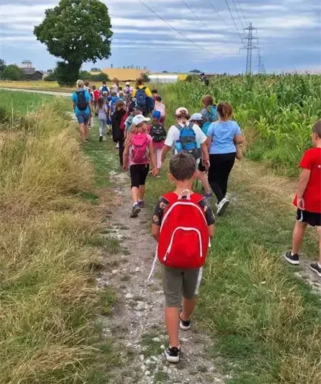 Eine Gruppe von Kindern und Erwachsenen geht auf einem Pfad in einem Grasfeld. Sie tragen Rucksäcke und Turnschuhe. Bäume und Strommasten sind im Hintergrund.