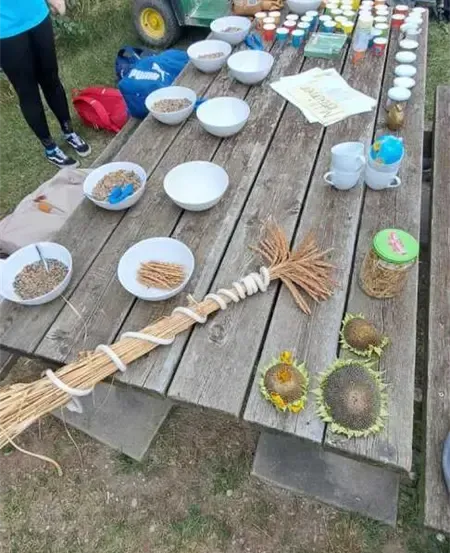 Ein Holzpicknicktisch ist mit verschiedenen Schüsseln mit Samen, Gläsern und Tassen gefüllt. Sonnenblumen und ein Besen ruhen auf dem Tisch. Eine Person in Blau steht in der Nähe.