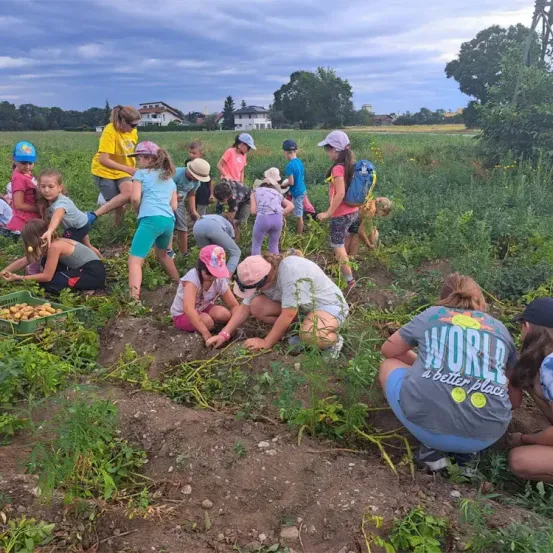 Eine Gruppe von Kindern arbeitet in einem Garten. Einige pflanzen, während andere Pflanzen aufheben. Ein Kind trägt ein gelbes Shirt.