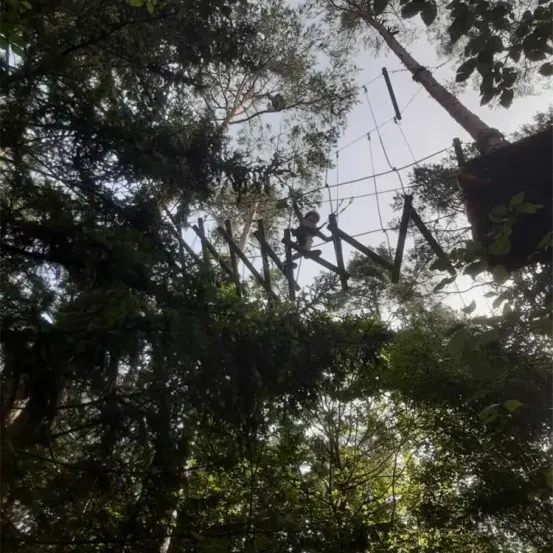 Eine Person klettert in einem Wald auf einem Baum-basierten Hindernisparcours, mit Sonnenlicht, das durch die Bäume scheint.