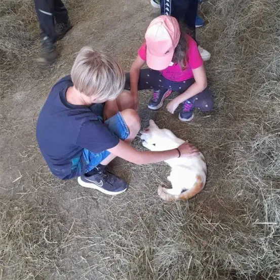 Zwei Kinder, ein Junge und ein Mädchen, spielen mit einer Katze auf dem mit Stroh bedeckten Boden. Der Junge trägt ein blaues Shirt und Sneakers, während das Mädchen eine rosa Kappe und Sneakers trägt.