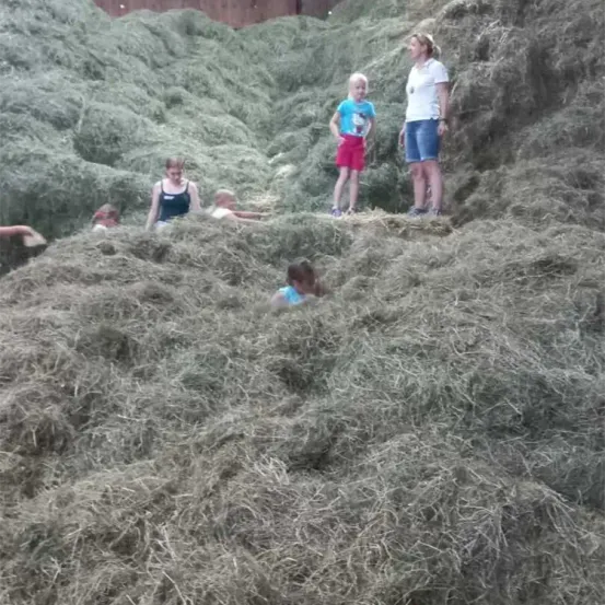 Mehrere Kinder und eine erwachsene Frau spielen in einem großen Heuhaufen. Die Frau steht am Rande, während die Kinder den Heu erforschen und darauf klettern.