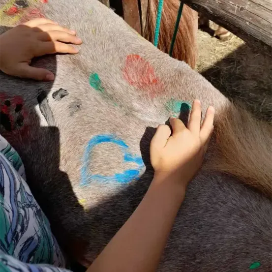 Ein Kind malt den Rücken eines Pferdes mit verschiedenen Farben im Freien. Das Pferd steht still.