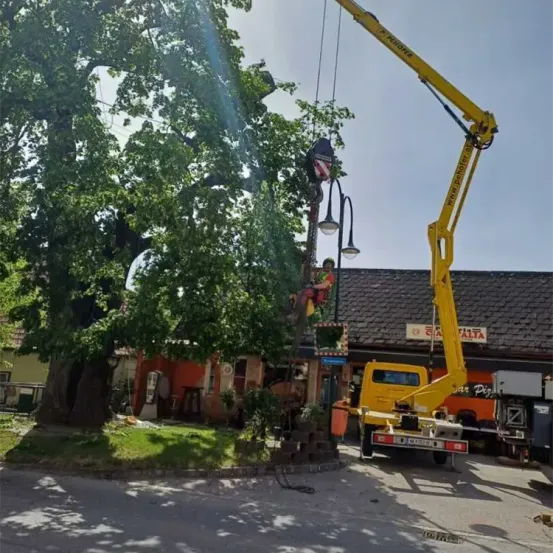 Ein Arbeiter ist auf einem Baum mit einem gelben Kran in der Nähe, vor einem Gebäude mit einem Schild für Alta.