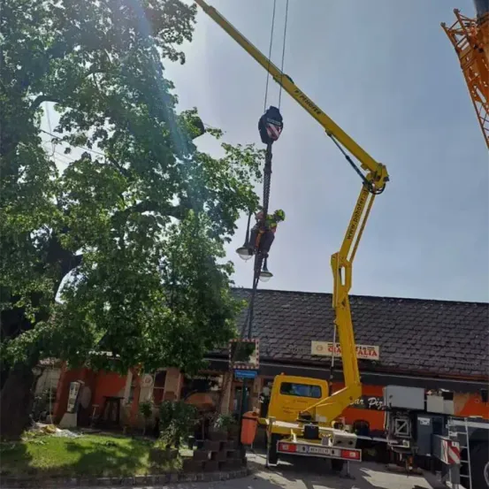 Ein Arbeiter hängt von einem gelben Kran in der Nähe eines Baumes, mit einem Gebäude und geparkten Fahrzeugen im Hintergrund.