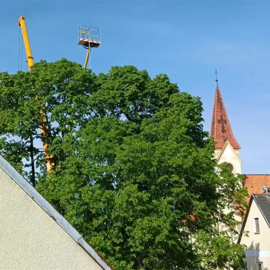 Ein Baum mit grünen Blättern steht vor einer Kirche mit einem Turm. Ein Kran befindet sich auf der linken Seite des Baumes.