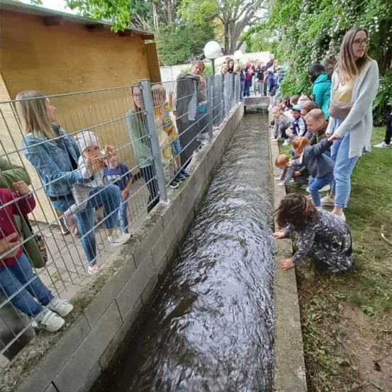 Eine Gruppe von Menschen, darunter auch Kinder, beobachtet einen kleinen Wasserstrom in einem eingezäunten Bereich. Einige knien und andere stehen hinter dem Zaun.