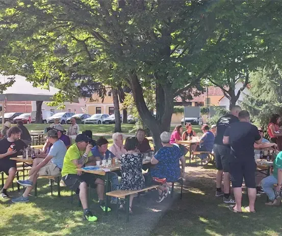 Eine Gruppe von Menschen sitzt unter einem Baum in einem Park an Tischen und genießt Essen und Getränke.