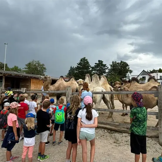 Eine Gruppe von Kindern beobachtet Kamele in einem Gehege unter einem bewölkten Himmel.