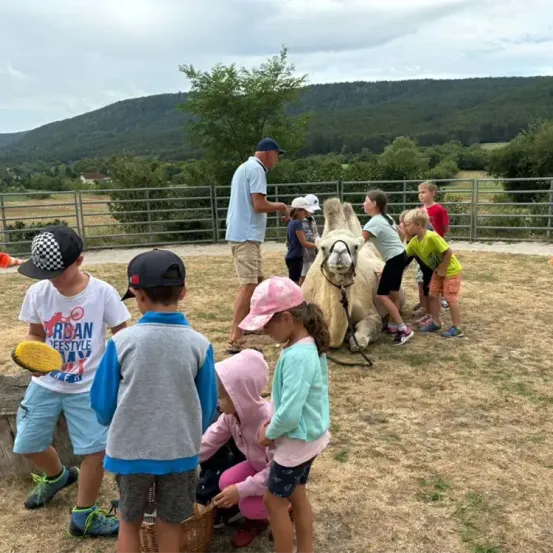 Eine Gruppe von Kindern und einem erwachsenen Mann interagiert mit einem Kamel in einem eingezäunten Außenbereich. Das Kamel steht ruhig, während Kinder es streicheln. Ein Mann in einer Mütze ist in der Nähe.