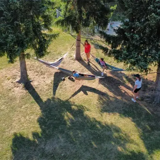 Eine Gruppe von Menschen entspannt sich auf Hängematten in einem von hohen Bäumen umgebenen Grasbereich. Eine Person geht auf die Hängematten zu.