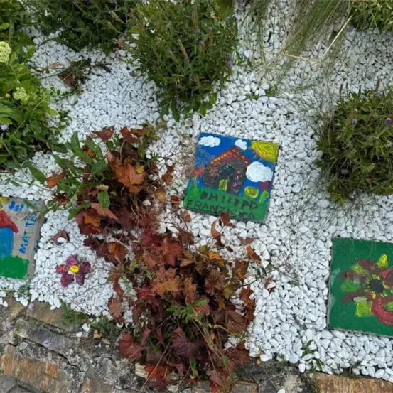 Drei bemalte Steine liegen auf weißem Kies. Jeder Stein hat eine farbenfrohe Malerei, darunter ein Haus, eine Blume und ein abstrakteres Design. Um die Steine herum befinden sich verschiedene Pflanzen, einige mit getrockneten Blättern.