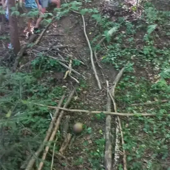 Eine Gruppe von Kindern steht in einem Wald, zwei sitzen auf einem Hang mit Stöcken davor, ein Kind steht in der Nähe eines Balls.