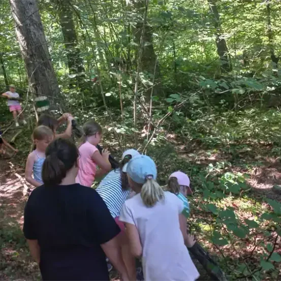 Eine Gruppe von Kindern im Wald, einige benutzen Ferngläser, andere stehen und beobachten, mit Erwachsenen in der Nähe.