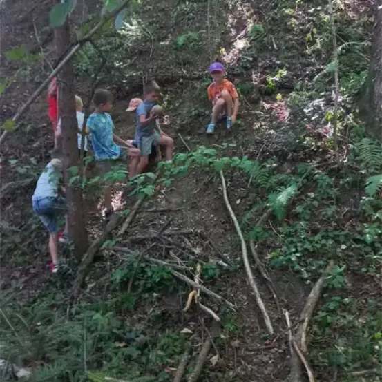 Eine Gruppe von Kindern erkundet einen bewaldeten Hang. Einige sitzen am Boden, während andere stehen und in die Unterholz schauen.