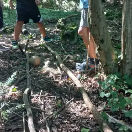 Zwei Personen befinden sich in einem Wald, eine spielt mit einem Ball. Sie sind von Bäumen und Pflanzen umgeben.